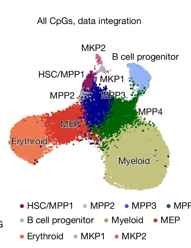 Open access visualization of Scatter Plot, UMAP, PCA, DNA Methylation, HSPC