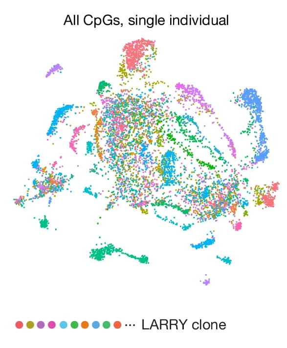 Open access visualization of Scatter Plot, UMAP, PCA, LARRY Barcode, Clone