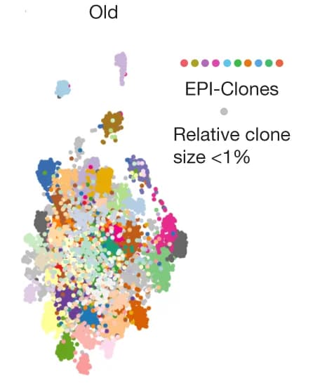 Open access visualization of Scatter Plot, UMAP, PCA, DNA Methylation, CpGs