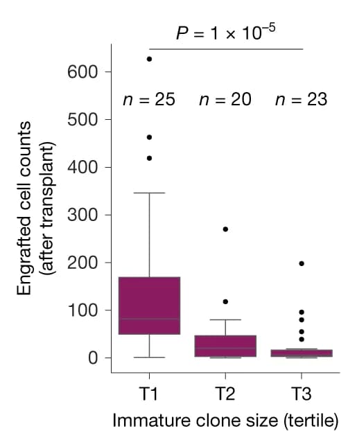 Open access visualization of Box Plot, Scatter Plot, Boxplots, Clone Sizes, Clones