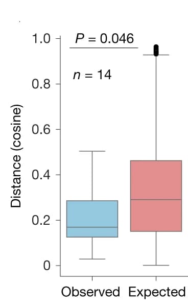 Open access visualization of Box Plot, Boxplot, Cosine Distances, Cell-Type Distribution, Clones