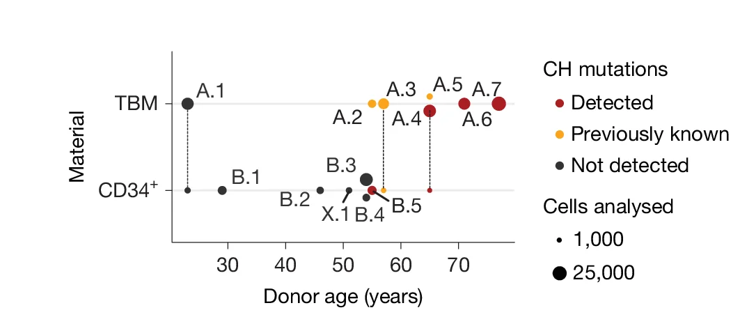 Open access visualization of Scatter Plot, Bubble Plot, Donor Characteristics, TBM Dataset, CD34+ Dataset
