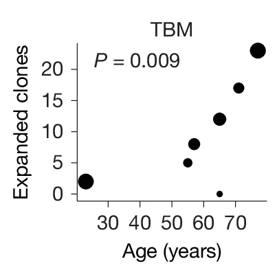 Open access visualization of Bubble Plot, Scatter Plot, Donor Age, GMPs, Clones