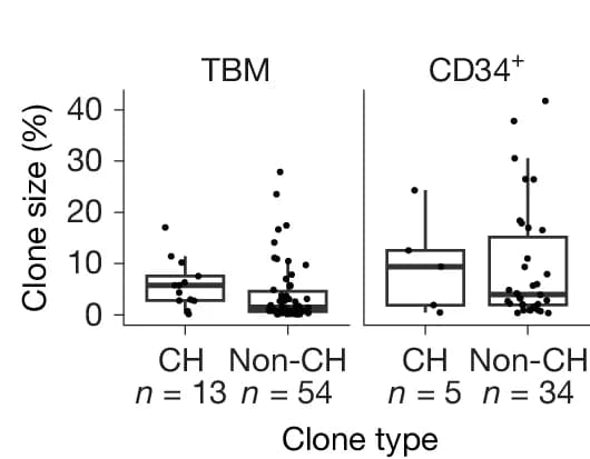 Open access visualization of Box Plot, Scatter Plot, Boxplot, Clone Size, CH Mutations