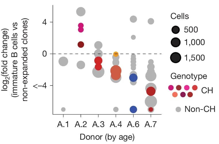 Open access visualization of Bubble Plot, Scatter Plot, Immature B Cells, Clone, Driver Mutation