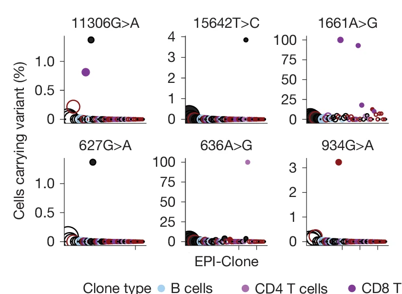 Open access visualization of Scatter Plot, Bubble Plot, Mitochondrial Variants, EPI-Clone, B Cells