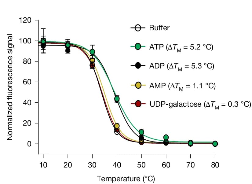Open access visualization of Line Plot, Error Bars, Thermal Stabilization, SLC35B1-GFP, ATP