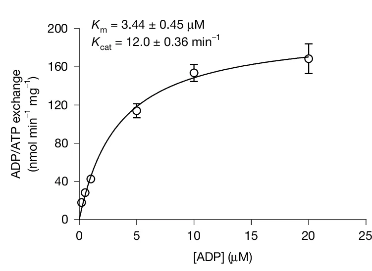 Open access visualization of Line Plot, Error Bars, ADP/ATP Exchange Kinetics, SLC35B1, Km