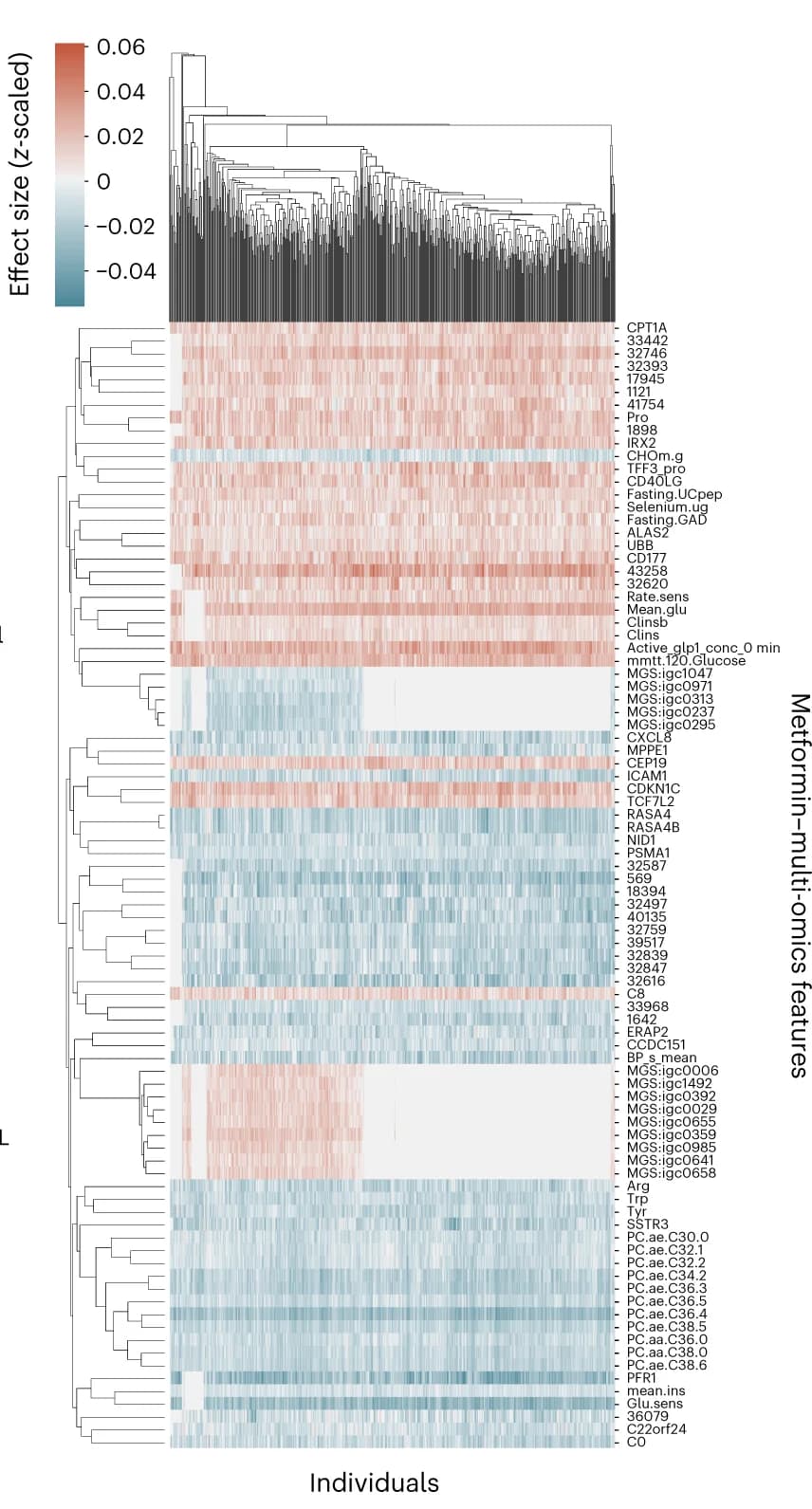 Open access visualization of Heatmap, Clustered, Metformin, Multi-omics features, Type 2 Diabetes