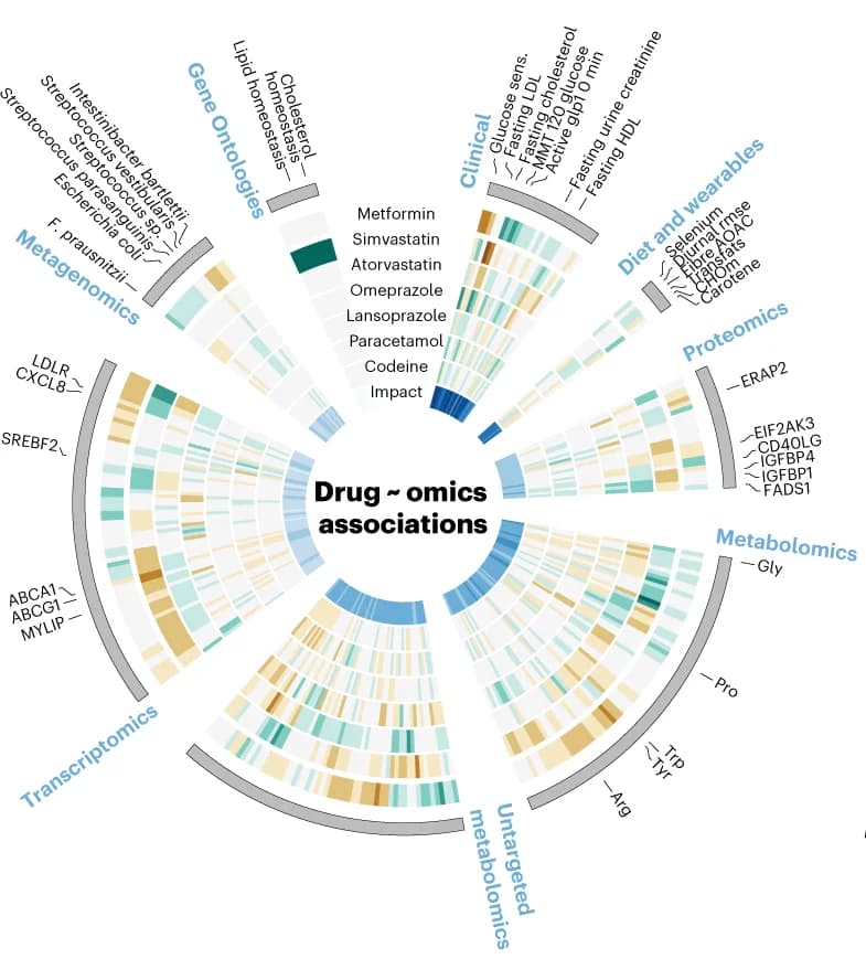Open access visualization of Heatmap, Clustered, Effect sizes, Metformin, Simvastatin
