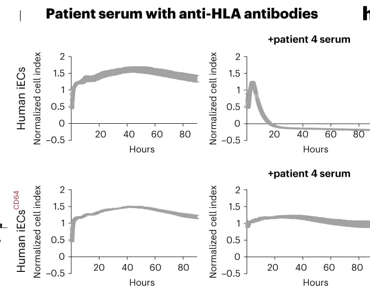 Open access visualization of Line Plot, Single Antigen Bead Assay, HLA Class I, HLA Class II, Antibodies