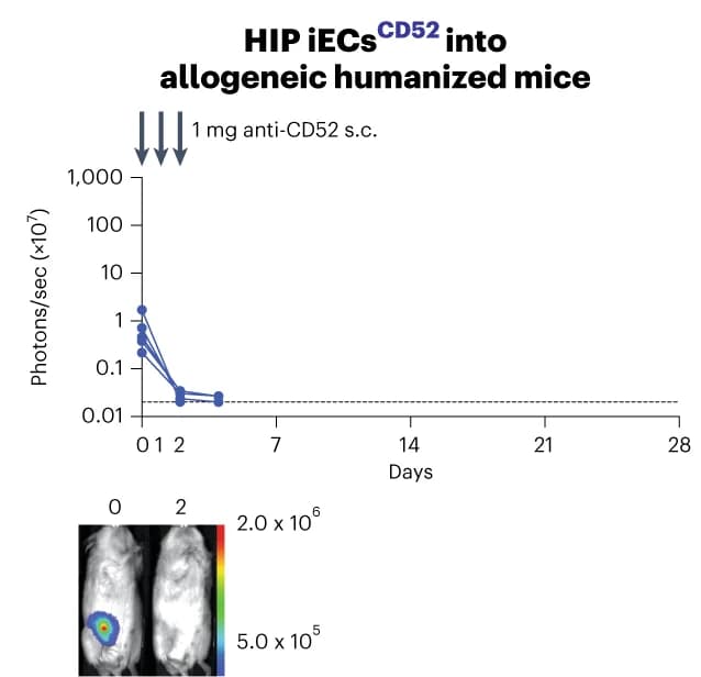 Open access visualization of Line Plot, Photo, BLI signals, HIP iECs, Subcutaneous