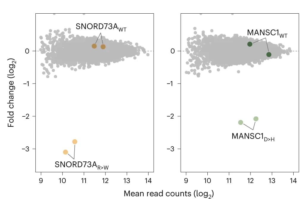 Open access visualization of Scatter Plot, Volcano Plot, Antigen Screen, CD4+ T Cells, TCR