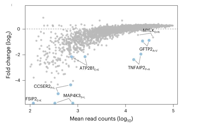 Open access visualization of Scatter Plot, Volcano Plot, Tumor Mutations, Exome Sequencing, RNA Sequencing