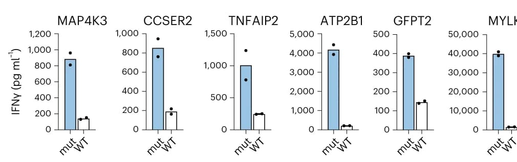 Open access visualization of Bar Plot, Scatter Plot, Neoantigen, CD4+ T Cells, B Cells