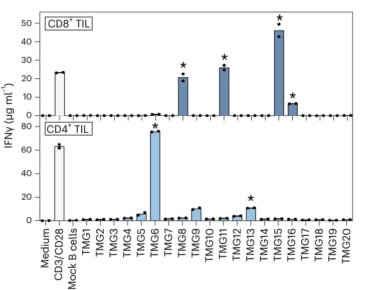 Open access visualization of Bar Plot, CD8+ T Cells, CD4+ T Cells, B Cells, TMG Constructs