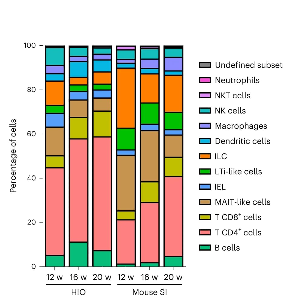 Open access visualization of Stacked Bar Plot, Stacked bar graph, Cell type frequency, Tissue, Time point