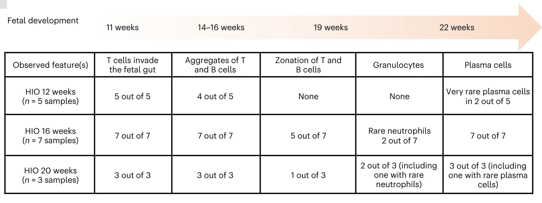 Open access visualization of Table Image, HIO, Immune developmental features