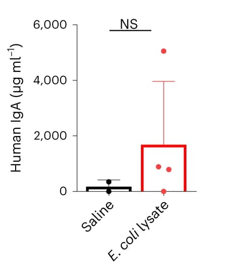 Open access visualization of Bar Plot, Error Bars, Scatter Plot, IgA, ELISA