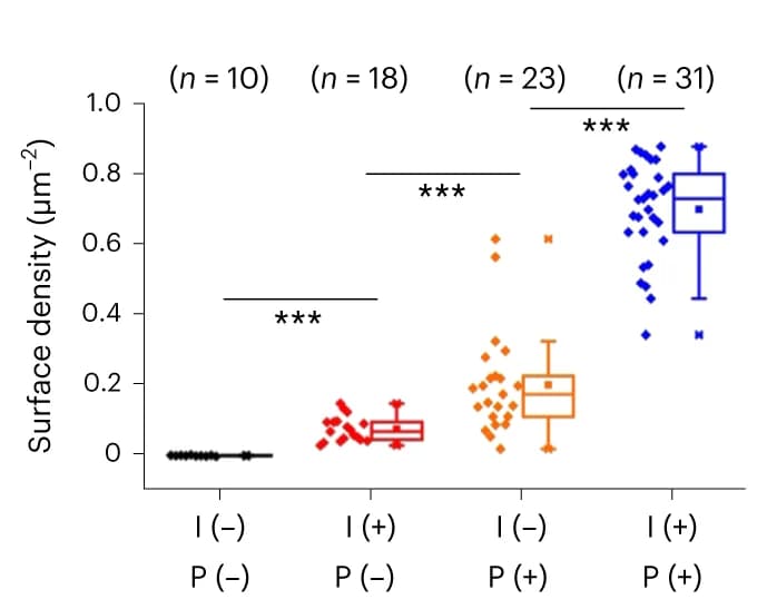 Open access visualization of Box Plot, Scatter Plot, Cell Surface Density, AT643 ALFAnb, IgG2a13-ALFA