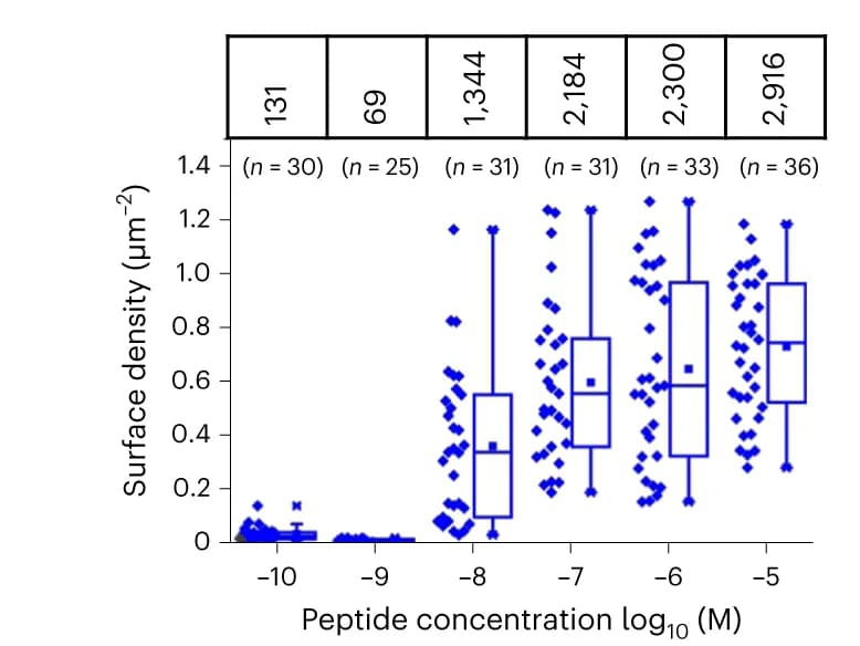 Open access visualization of Box Plot, Scatter Plot, IgG2a 13-ALFA Density, B16F10 Cells, IFN-γ