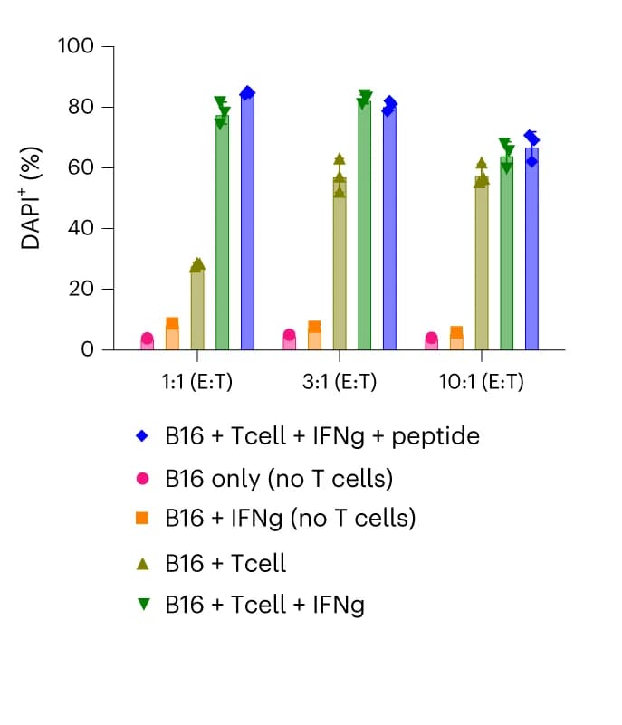 Open access visualization of Bar Plot, Error Bars, Clustered, scFv13 CAR-T, B16F10 Cells
