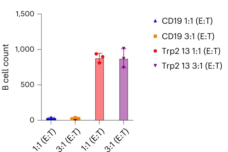 Open access visualization of Bar Plot, Error Bars, Scatter Plot, scFv13, CAR-T