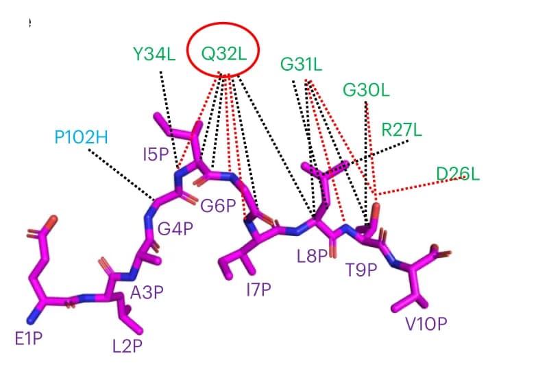 Open access visualization of Protein Structure, Chemical Structure, Structural Basis, MART1 Peptide, Residues