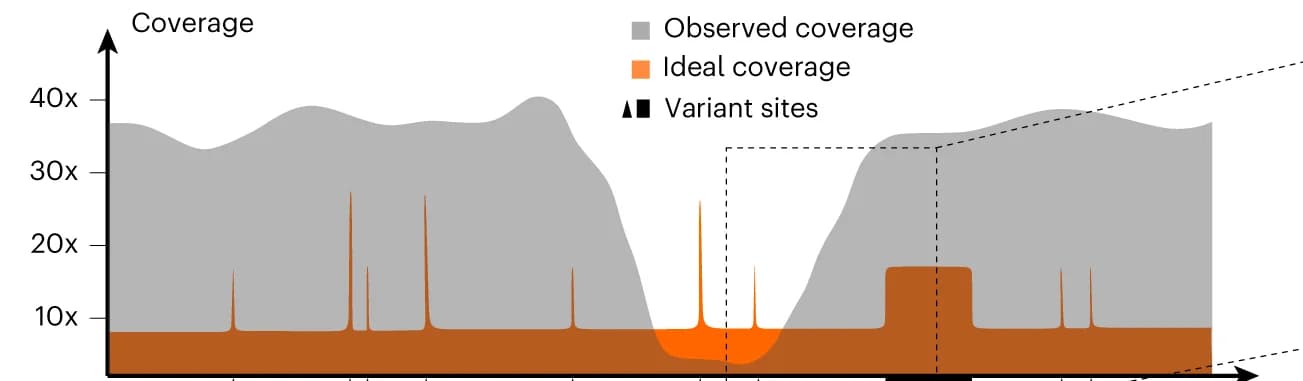 Open access visualization of Line Plot, Error Bars, Sequencing coverage, Data analysis, Genomic variation