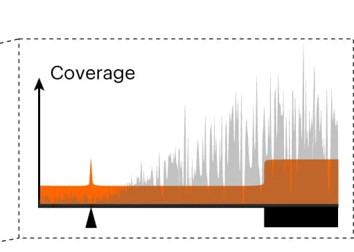 Open access visualization of Line Plot, Bar Plot, Sequencing coverage, Fragment origin, Sequencing efficiency