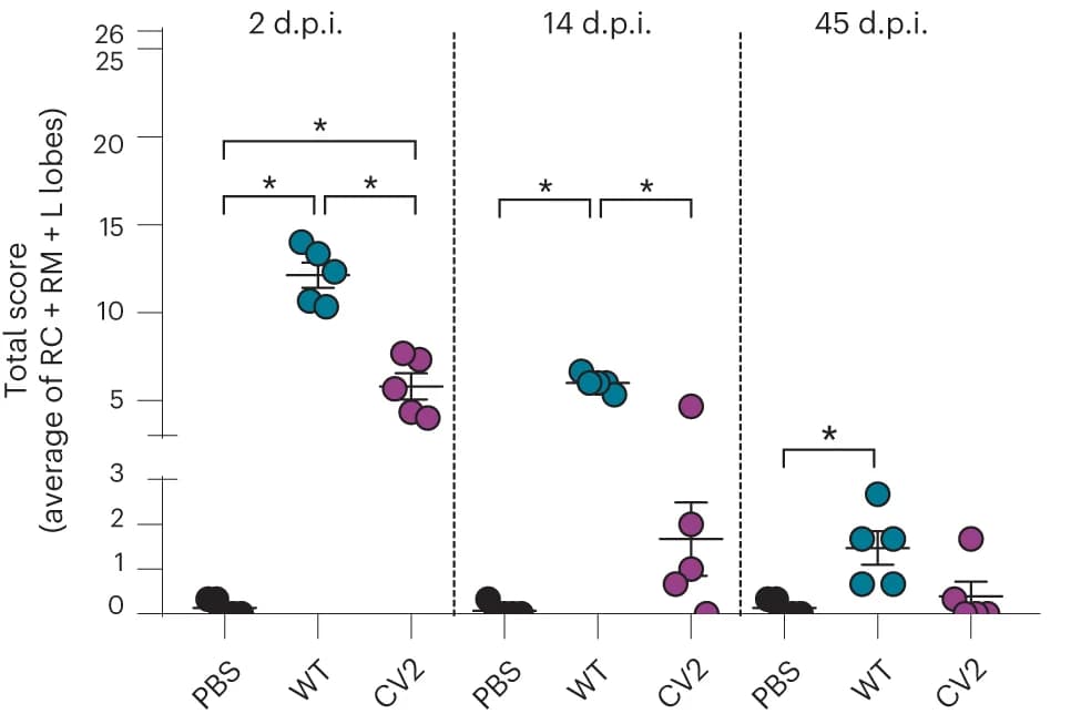 Open access visualization of Scatter Plot, Error Bars, Lung lesion, Histological analysis, ANOVA