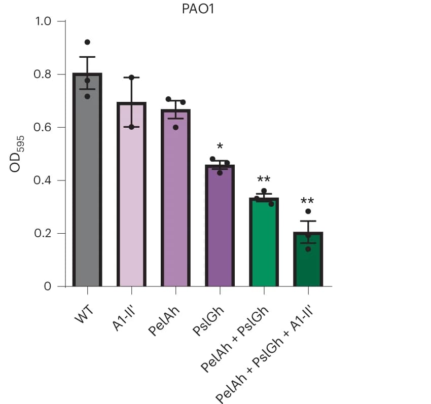 Open access visualization of Bar Plot, Error Bars, Biofilm, M. pneumoniae, Heterologous proteins