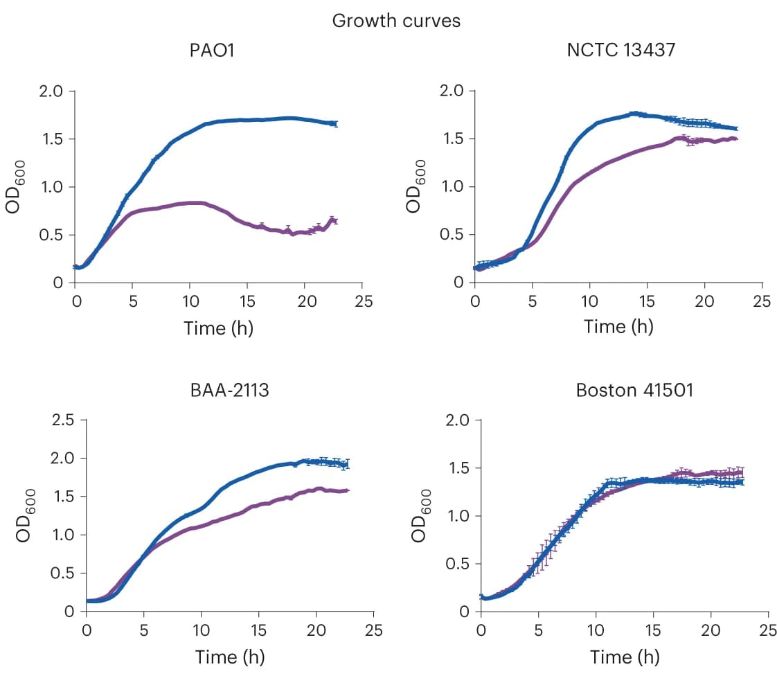 Open access visualization of Line Plot, Error Bars, Growth curves, P. aeruginosa, Supernatants