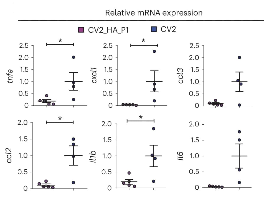 Open access visualization of Scatter Plot, Error Bars, Gene expression, Inflammatory markers, RT-qPCR