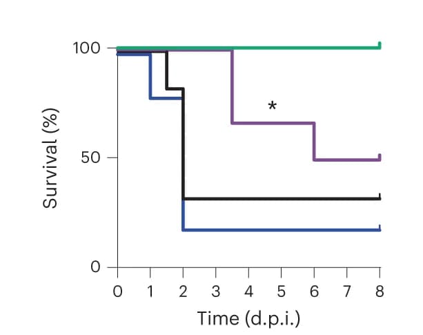 Open access visualization of Survival Curve, Line Step, Survival, Mice, PAO1