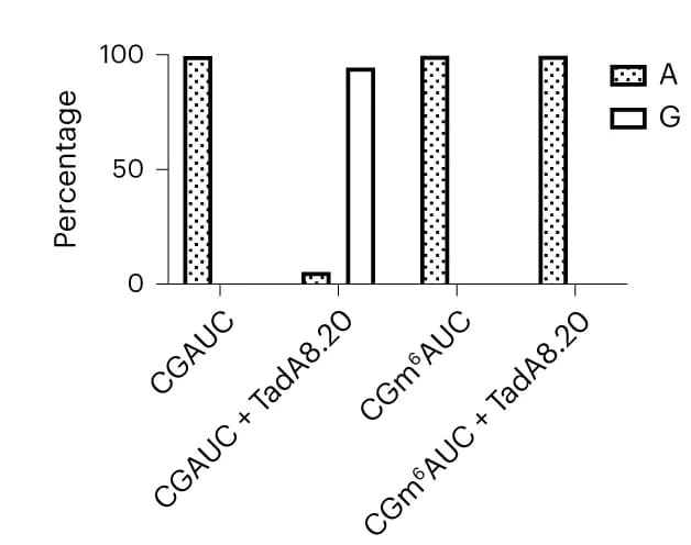 Open access visualization of Bar Plot, Clustered, A-to-I conversion, TadA8.20, Next-generation sequencing