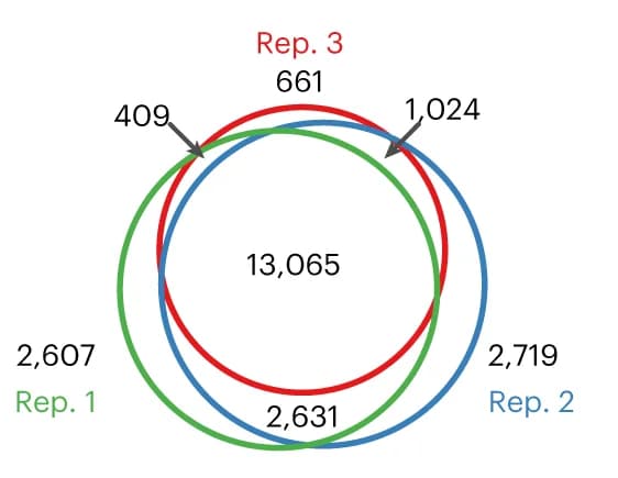 Open access visualization of Venn Diagram, m6A Sites, Replicates, eTAM-seq, HeLa/IVT