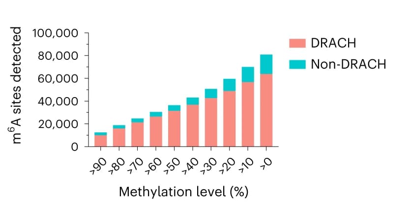 Open access visualization of Stacked Bar Plot, Hit Distributions, DRACH Sequences, Non-DRACH Sequences, Methylation Levels