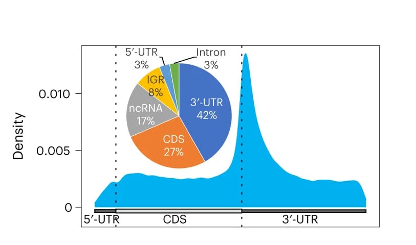 Open access visualization of Density Plot, Pie Chart, Metagene Plot, Transcriptome, m6A