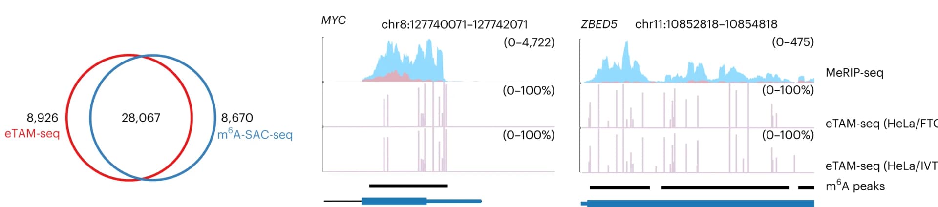 Open access visualization of Venn Diagram, Line Plot, m6A Sites, eTAM-seq, m6A-SAC-seq