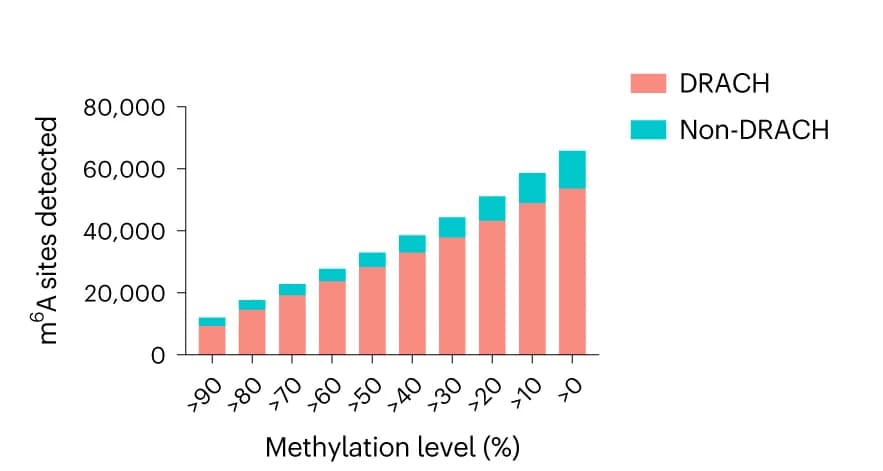 Open access visualization of Stacked Bar Plot, DRACH Sequences, Non-DRACH Sequences, Methylation Levels, m6A Sites