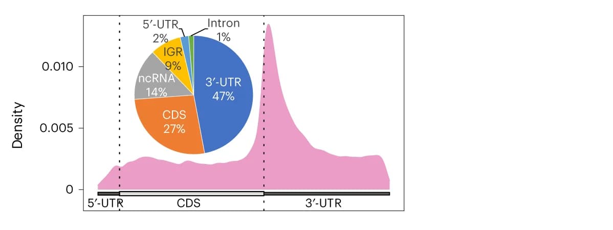 Open access visualization of Line Plot, Density Plot, Pie Chart, Metagene Plot, Transcriptome