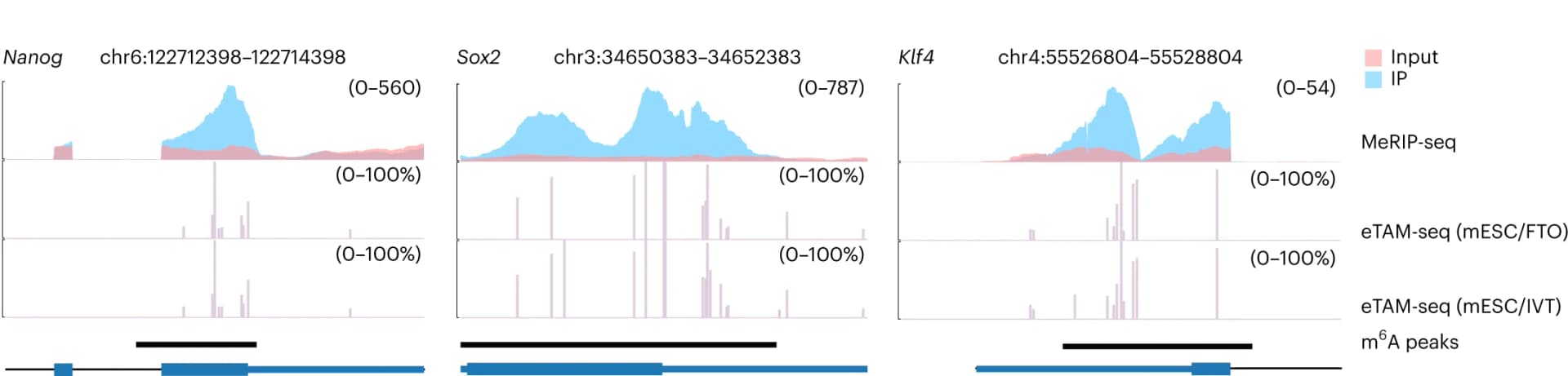 Open access visualization of Line Plot, Bar Plot, m6A, Nanog Transcripts, Sox2 Transcripts