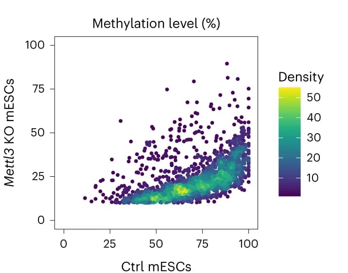Open access visualization of Scatter Plot, Density Plot, Methylation Levels, m6A Sites, ctrl