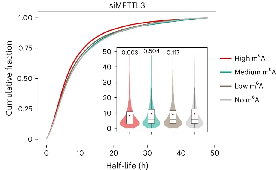 Open access visualization of Line Plot, Violin Plot, Box Plot, Density Plot, HeLa Cells