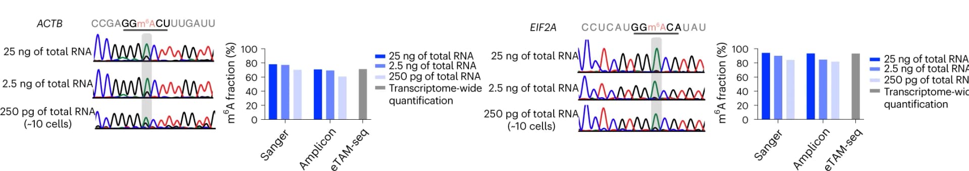 Open access visualization of Bar Plot, Methylation Quantification, ACTB_1427, EIF2A_994, Total RNA