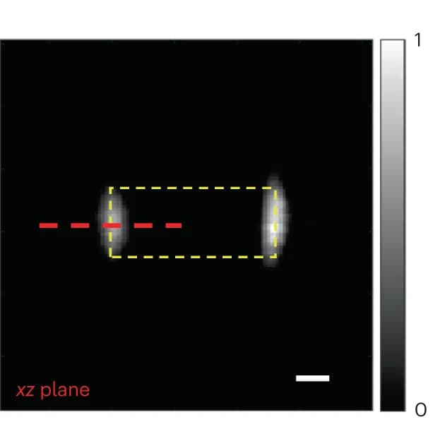 Open access visualization of Microscopy, Cross-section, iRAI imaging, Radiation beam field