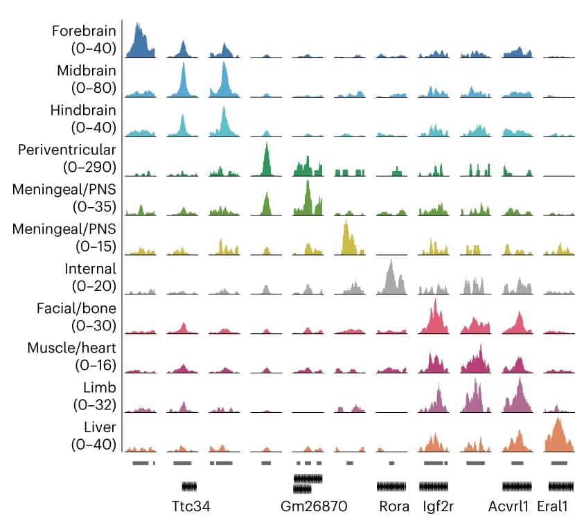 Open access visualization of Line Plot, Density Plot, Genome Tracks, Spatial ATAC-seq, Fragment Density