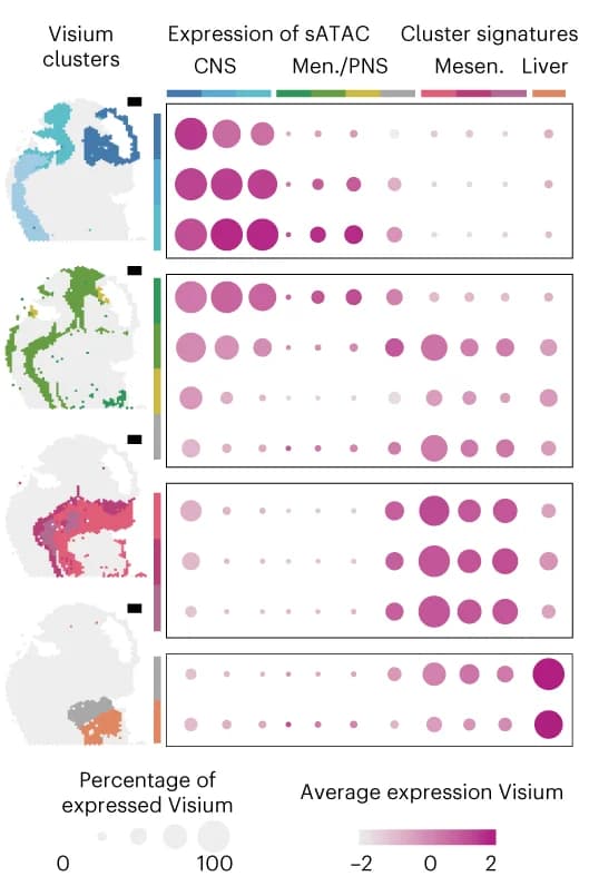 Open access visualization of Scatter Plot, Bubble Plot, Geo Map, Visium, Gene expression