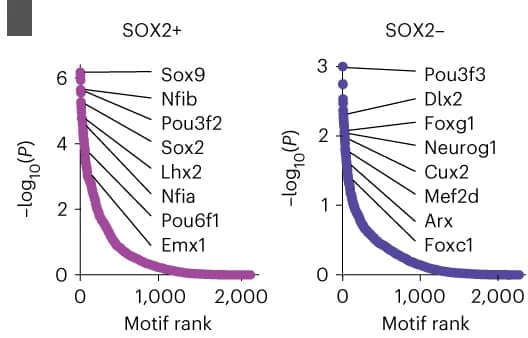 Open access visualization of Line Plot, Motif enrichment analysis, Transcription factors, Hypergeometric test